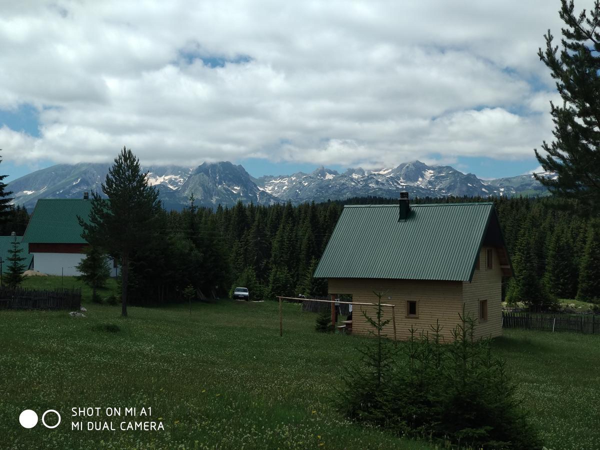 Eco House Villa Žabljak Dış mekan fotoğraf